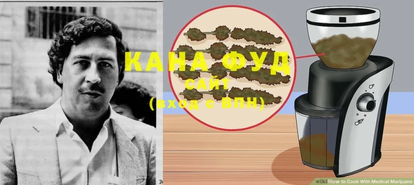 индика Богородицк