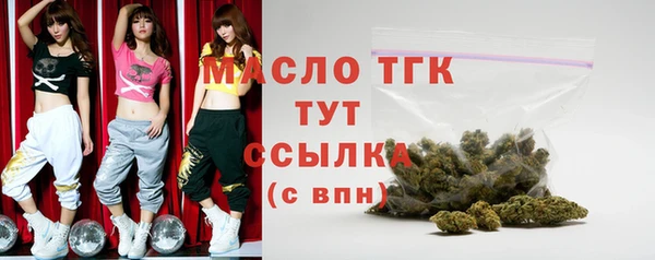 индика Богородицк