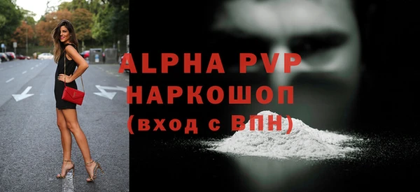 индика Богородицк