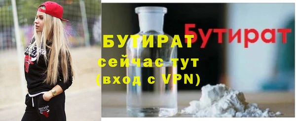 индика Богородицк