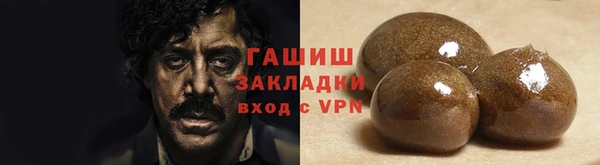 индика Богородицк