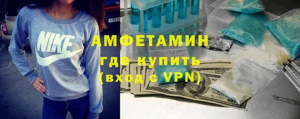 индика Богородицк