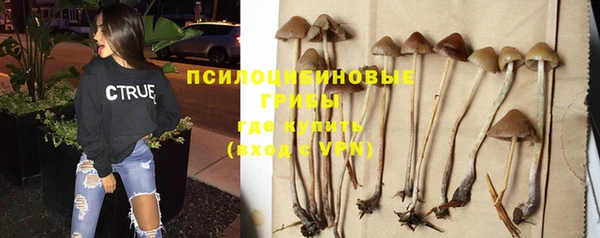 jwh Белокуриха